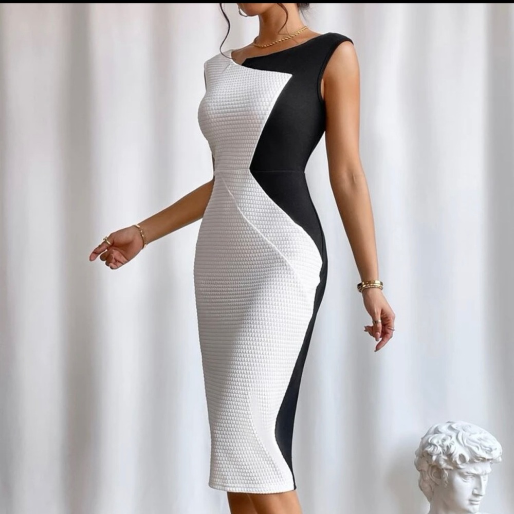 Colorblock Bodycon Dress - Picture 2 of 2